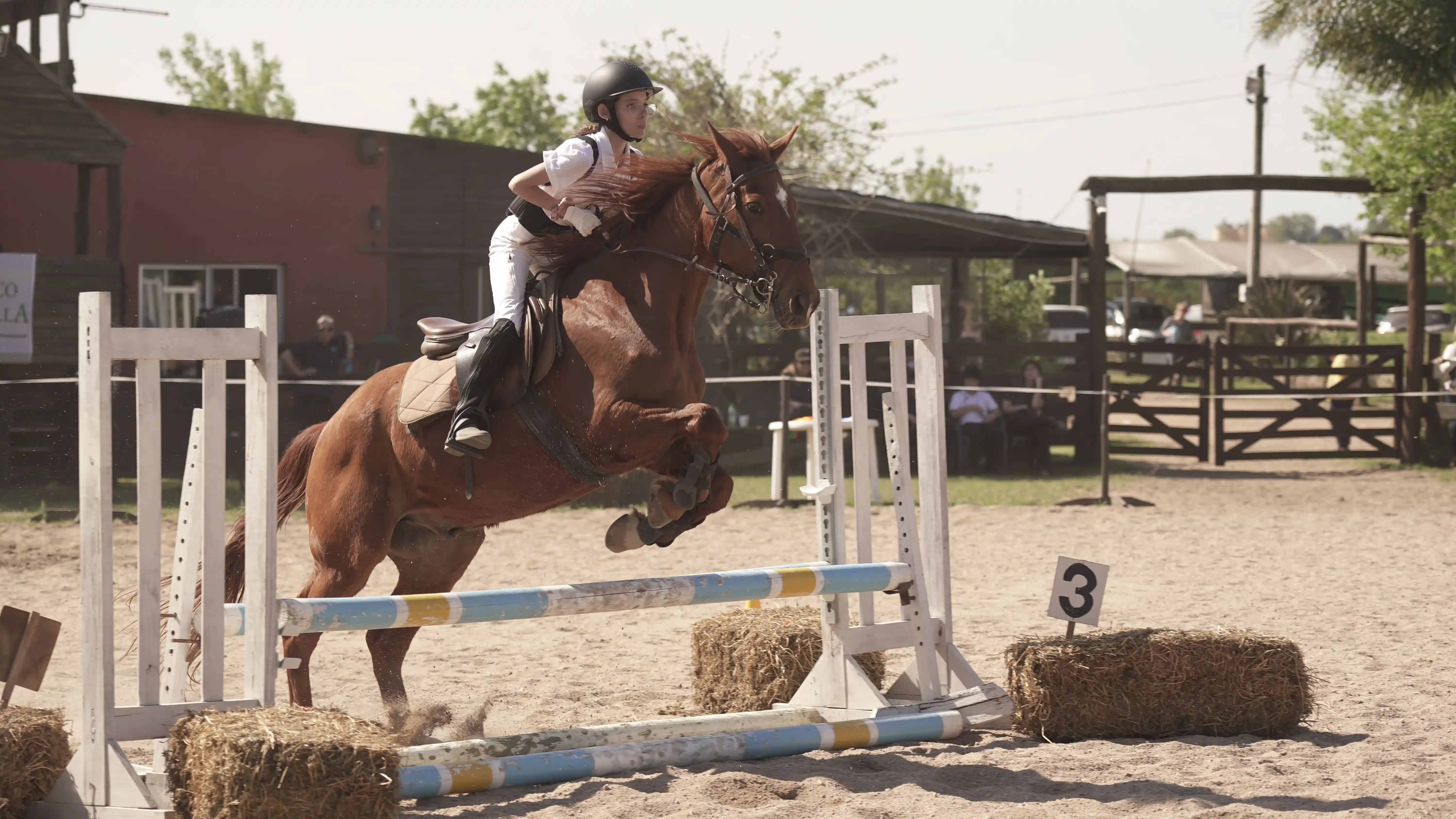Entrenamiento de equitación en pista
