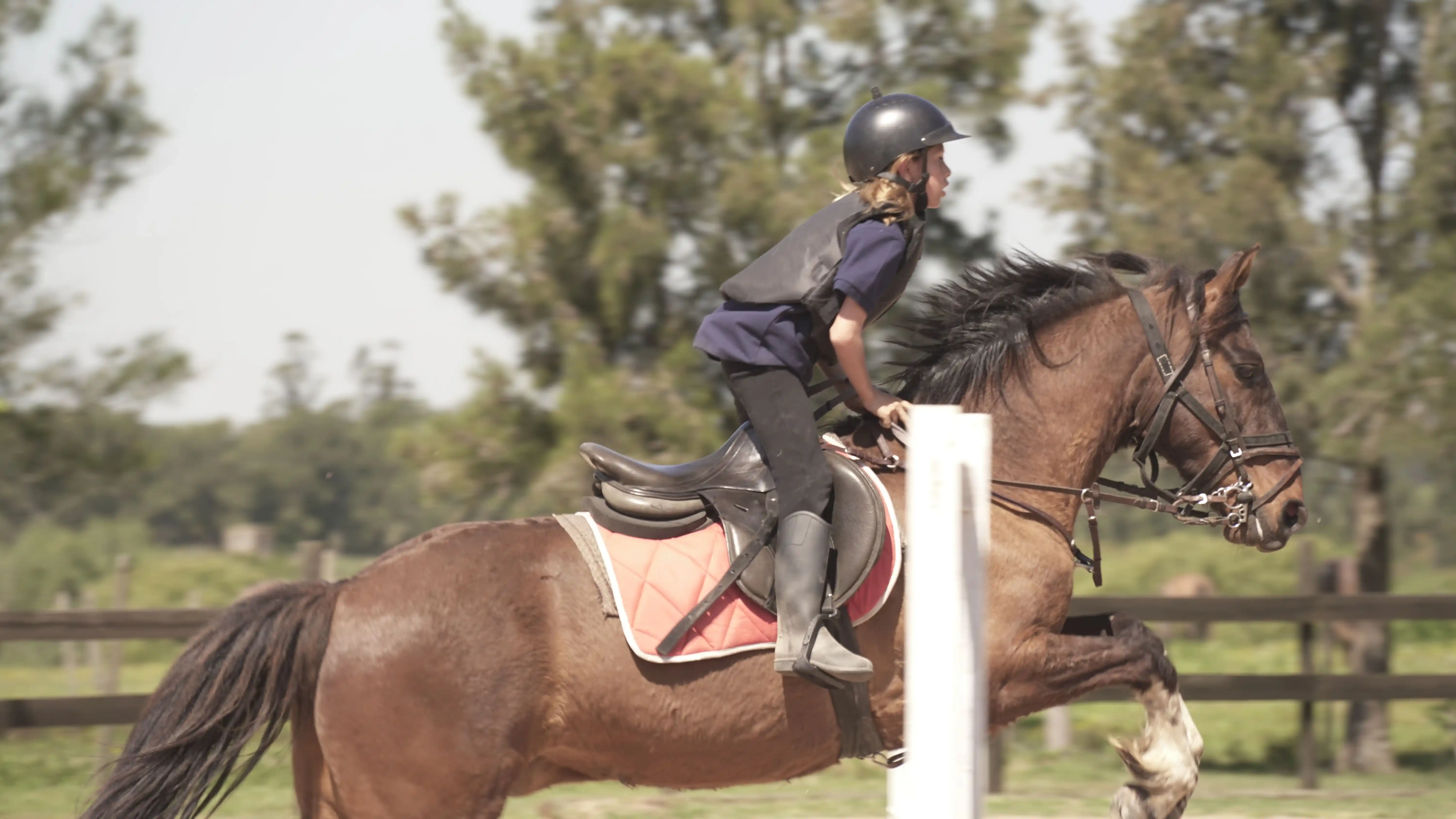 Clase de salto en equitación